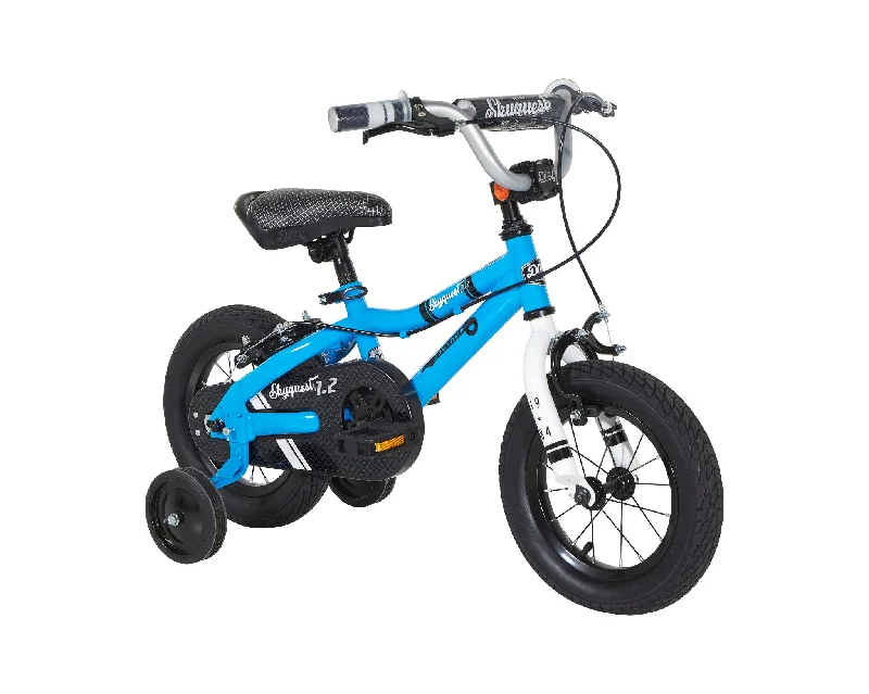 bicycle paint adaptability-Duzy Customs Skyquest 12" Children's Bike