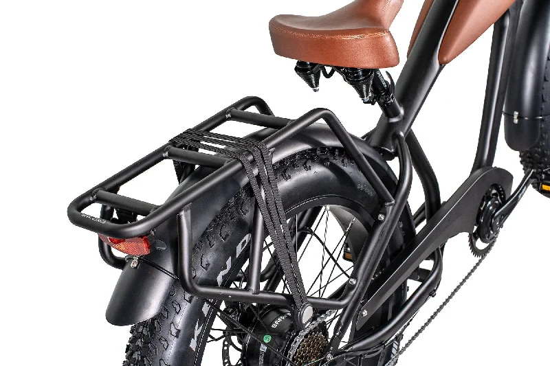 bicycle saddle upgrade-Rack and Fender Bundle for Big Cat Cheetah